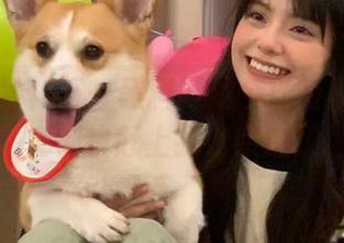 五一黑料网站今日特别版：黑历史都快赶上我家亲戚了！
