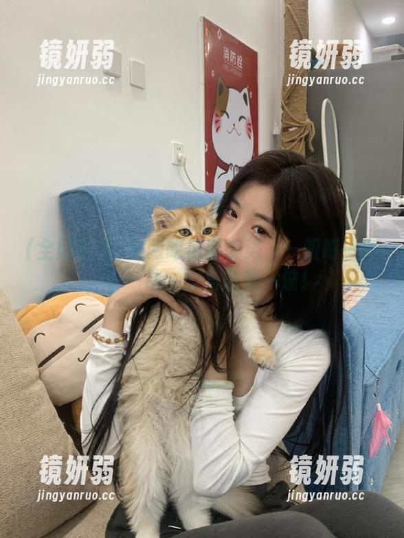 全网吃瓜新姿势——眼睛一亮，手一动，立马收藏一波！