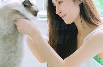 黑料不打烊网站，怎么感觉像种上瘾？