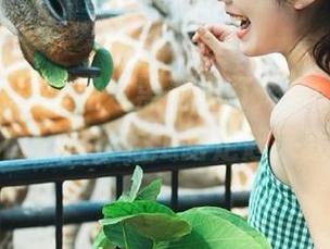 路过黑料不打烊so，顺便直达传送门，这条吃瓜路走起来就绝了！
