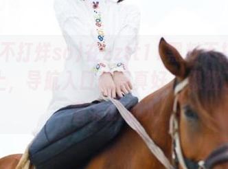 在zztt11黑料不打烊so网站上，导航入口藏得真好，像极了找不着北的旅人