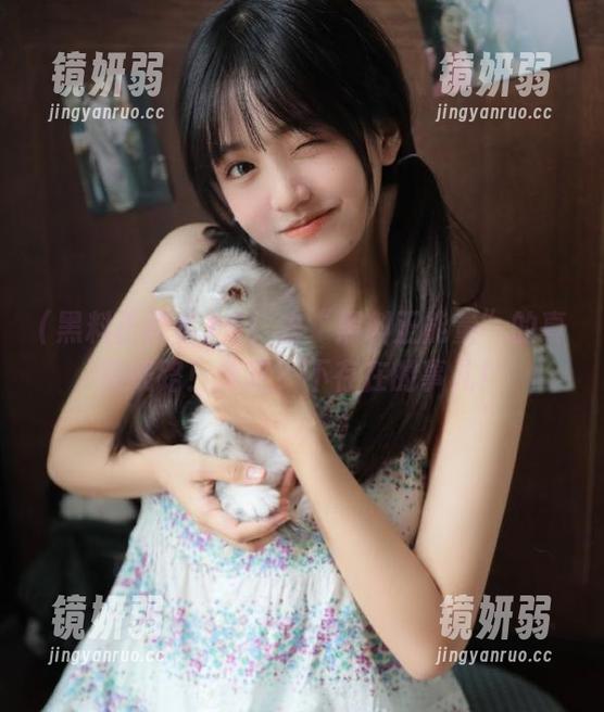 走！去“黑料正能量”的真实线路！迷路？不存在的事儿！